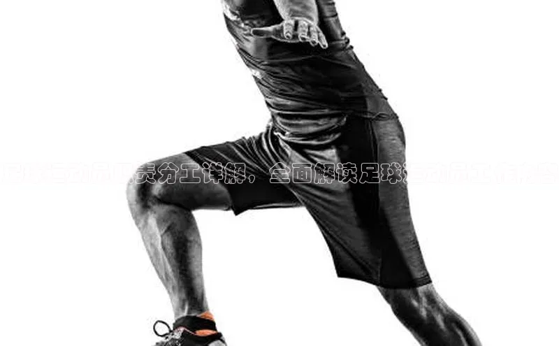 中欧体育全站app在线登录蓝色光标足球运动员职责分工详解，全面解读足球运动员工作内容