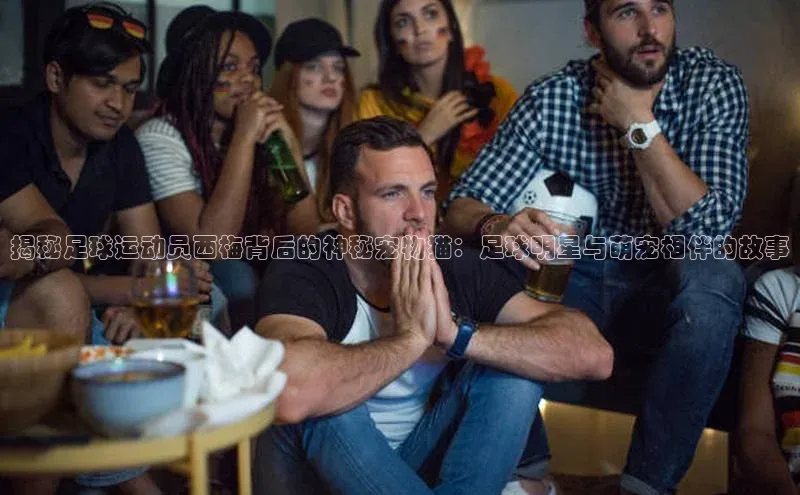 zoty28中欧体育网址每日互动揭秘足球运动员西梅背后的神秘宠物猫：足球明星与萌宠相伴的故事