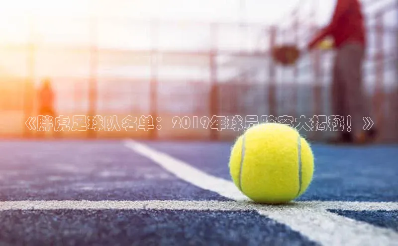 中欧体育下载地址VIP入口普信公司《胖虎足球队名单：2019年球员阵容大揭秘！》