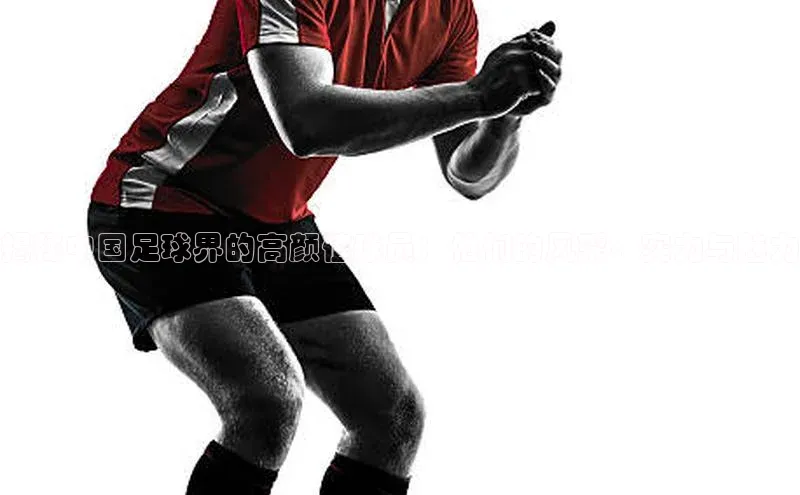 zoty官网网页慧博云通揭秘中国足球界的高颜值球员：他们的风采、实力与魅力