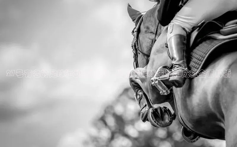 中欧app下载官网最新版观星盘27号有名的足球运动员揭秘：他们的足球生涯和成就全面解析