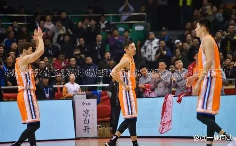 zoty28中欧体育网址百度翻译揭秘身高不足2米的中场足球运动员：突破格局，创造传奇！