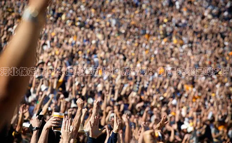 中欧体育zoty下载百度翻译App河北保定青少年足球运动员培养计划：打造未来足球之星