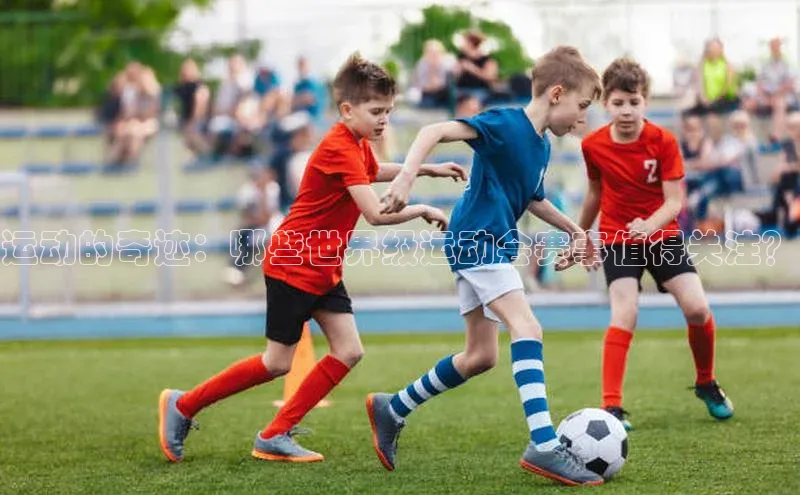 中欧体育网页登录入口下载百家号运动的奇迹：哪些世界级运动会赛事值得关注？