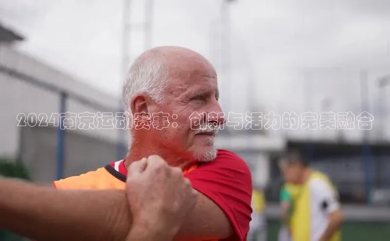 中欧体育zoty下载百度翻译App2024南京运动赛事：创新与活力的完美融合