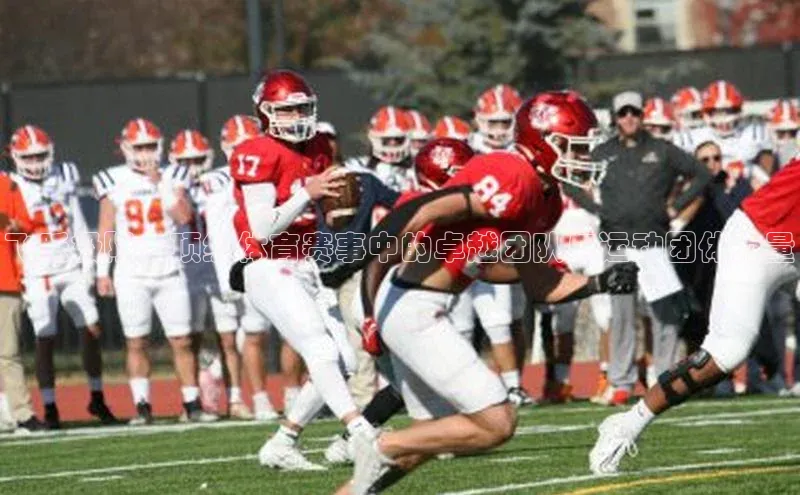 飞跃极限：顶级体育赛事中的卓越团队与运动团体力量