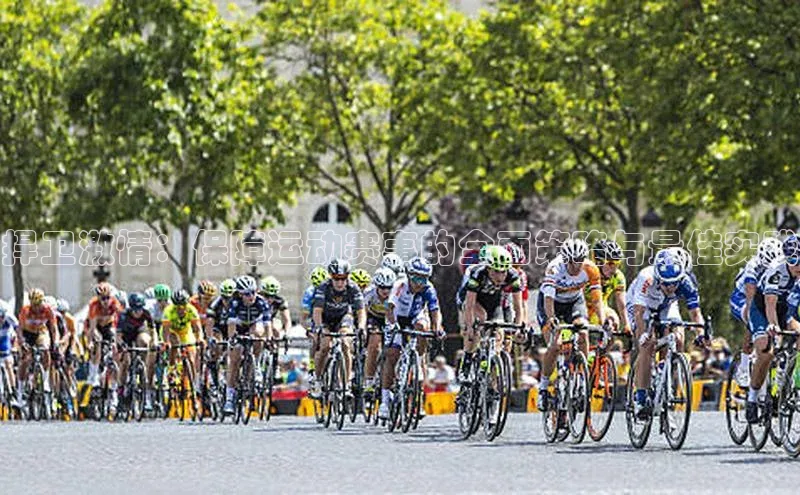 捍卫激情：保障运动赛事的全面策略与最佳实践