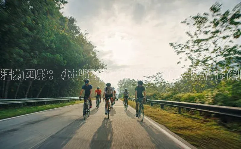 活力四射：小型运动会的精彩瞬间与激情时刻