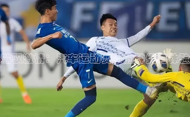 驾驭激情：汽车运动赛事的种类与体验