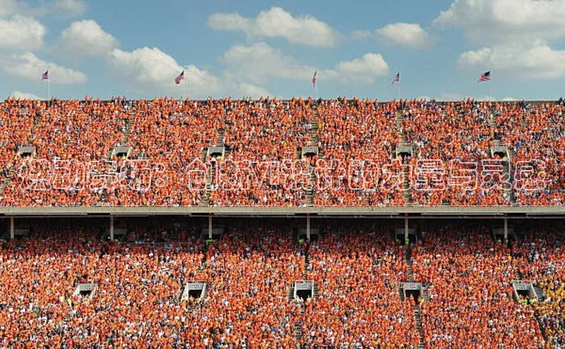 燃动赛场：创新VI设计的力量与灵感