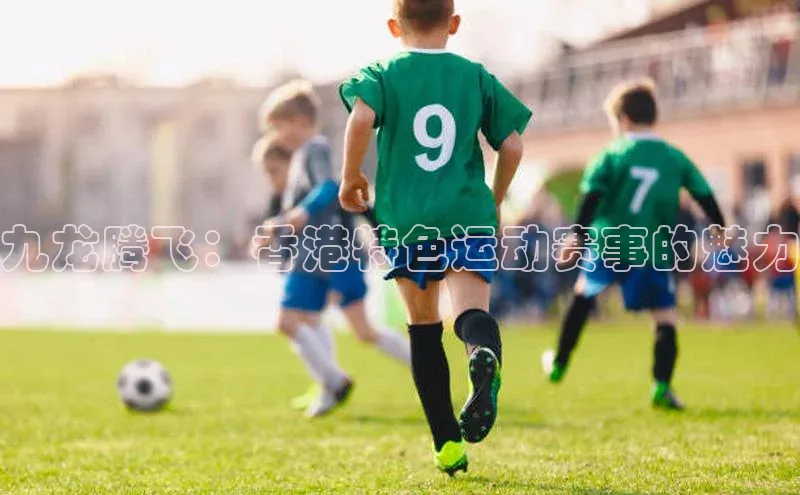 九龙腾飞：香港特色运动赛事的魅力