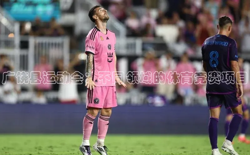 广饶县运动会：不同领域的体育竞赛项目