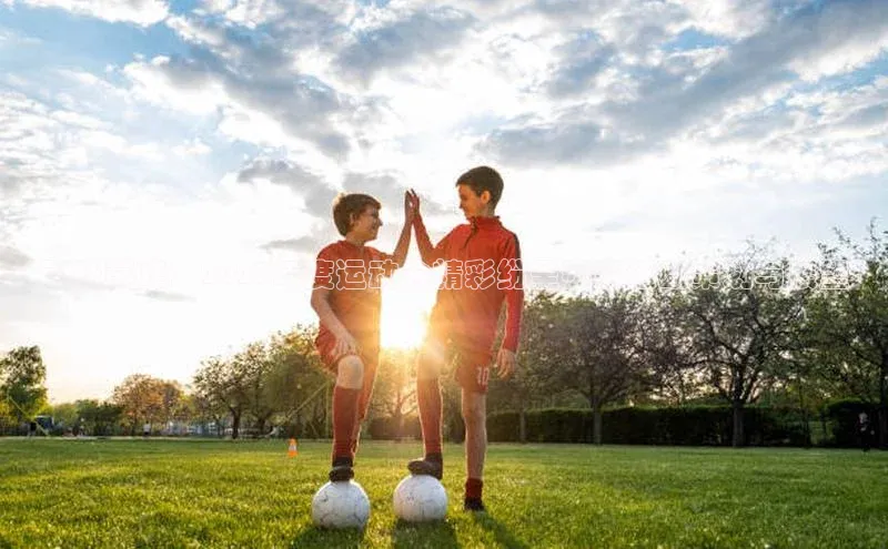 飞跃巅峰：2023年度运动会精彩纷呈赛事活动策划与展望