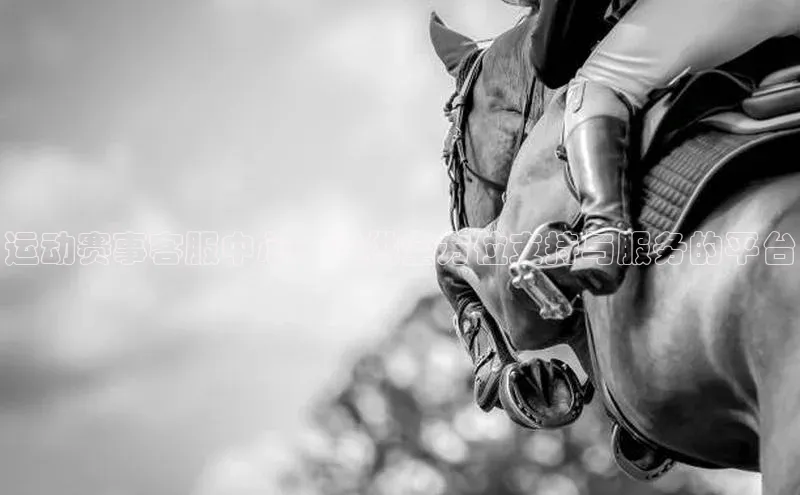 运动赛事客服中心：提供全方位支持与服务的平台