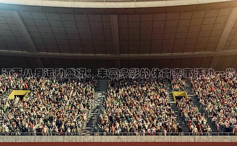江西八月运动盛况：丰富多彩的体育赛事活动一览