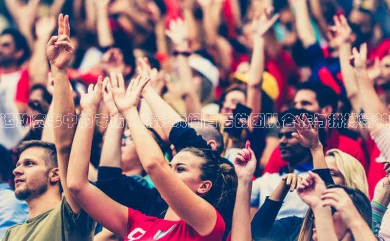 运动赛事中的专访：精彩瞬间背后的团队合作与拼搏精神