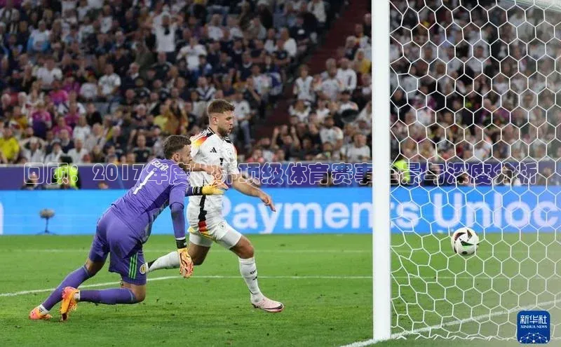 回顾：2017年度世界顶级体育赛事全景与深度分析