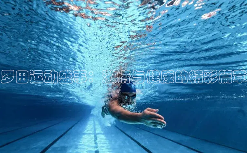 中欧app登录入口手机版