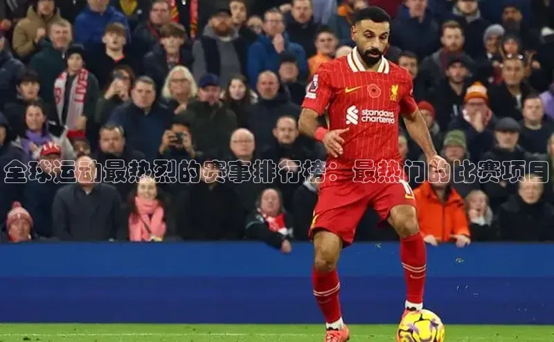 中欧体育下载地址VIP入口