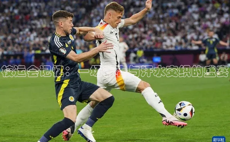 校运会记忆：一场青春与汗水交织的盛宴