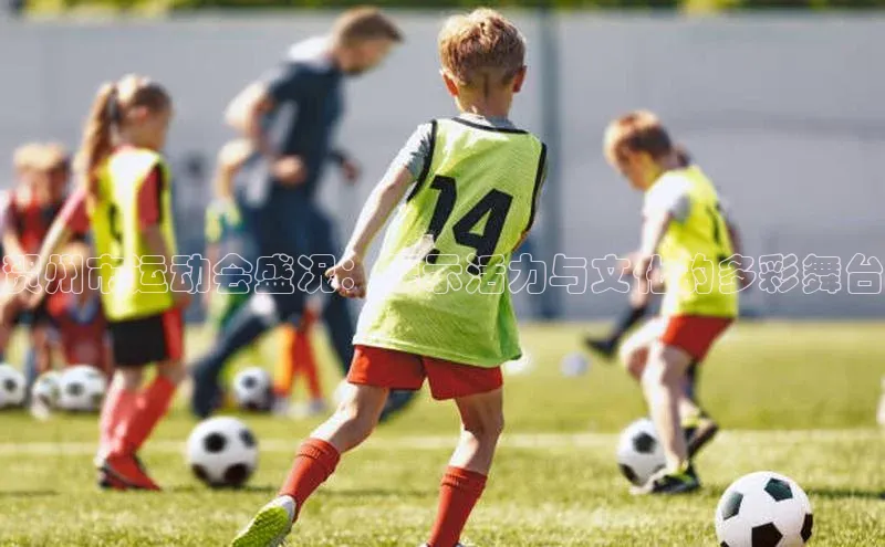 贺州市运动会盛况：展示活力与文化的多彩舞台